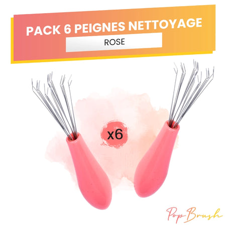 PACK 6 PEIGNES DE NETTOYAGE