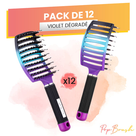 PACKS 12 BROSSES
